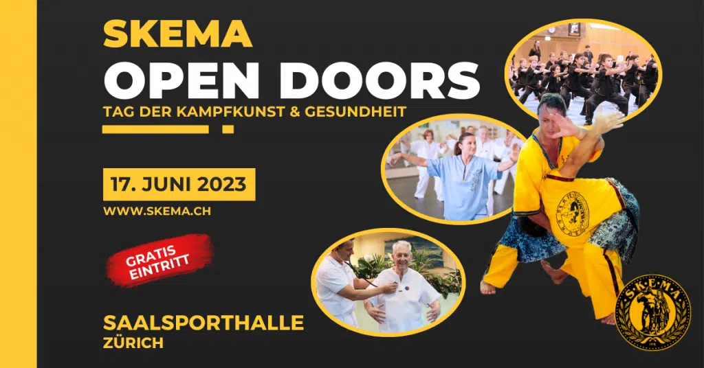 SKEMA Open Doors – Der einmalige Kampfkunst-Grossanlass vom 17. Juni in Zürich naht!